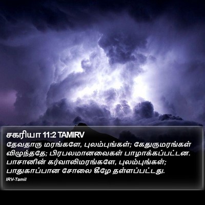 சகரியா 11:2 TAMIRV Bible Verse Image