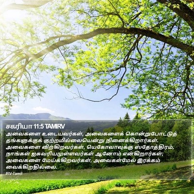 சகரியா 11:5 TAMIRV Bible Verse Image