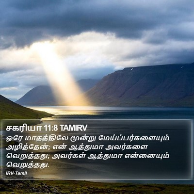 சகரியா 11:8 TAMIRV Bible Verse Image