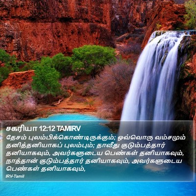சகரியா 12:12 TAMIRV Bible Verse Image