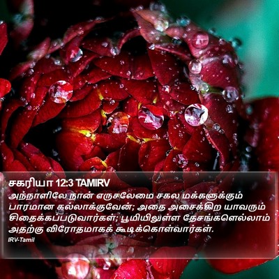 சகரியா 12:3 TAMIRV Bible Verse Image