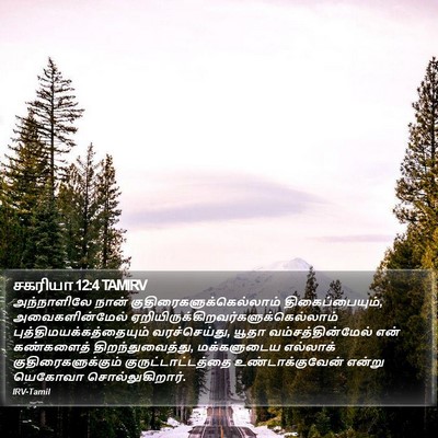 சகரியா 12:4 TAMIRV Bible Verse Image