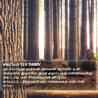 சகரியா 13:6 TAMIRV Bible Verse Image