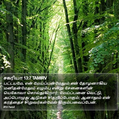 சகரியா 13:7 TAMIRV Bible Verse Image
