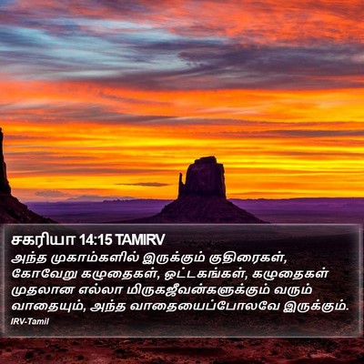 சகரியா 14:15 TAMIRV Bible Verse Image