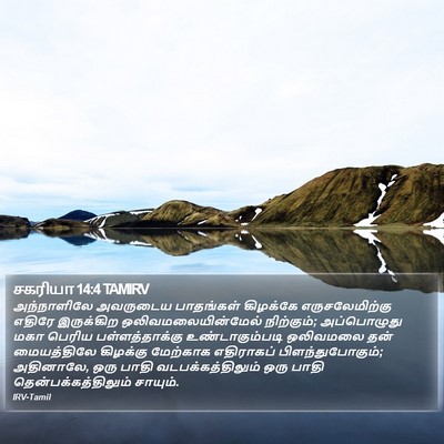 சகரியா 14:4 TAMIRV Bible Verse Image