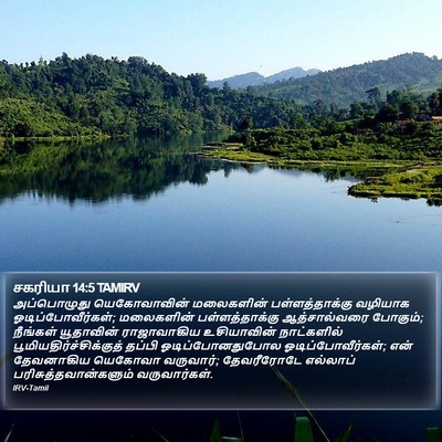 சகரியா 14:5 TAMIRV Bible Verse Image