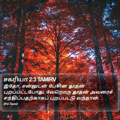 சகரியா 2:3 TAMIRV Bible Verse Image