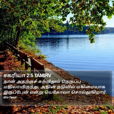 சகரியா 2:5 TAMIRV Bible Verse Image