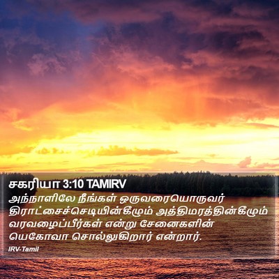 சகரியா 3:10 TAMIRV Bible Verse Image