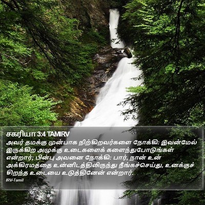 சகரியா 3:4 TAMIRV Bible Verse Image