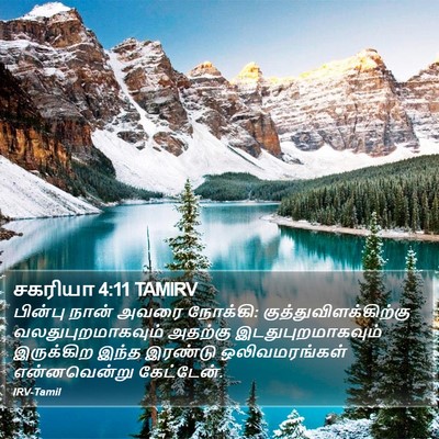 சகரியா 4:11 TAMIRV Bible Verse Image