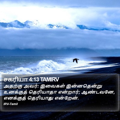 சகரியா 4:13 TAMIRV Bible Verse Image