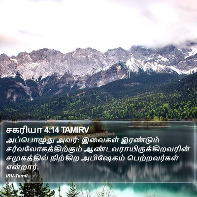 சகரியா 4:14 TAMIRV Bible Verse Image