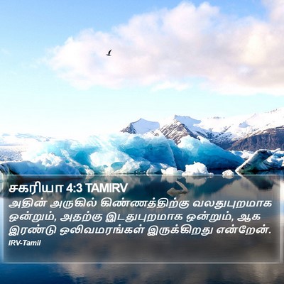 சகரியா 4:3 TAMIRV Bible Verse Image
