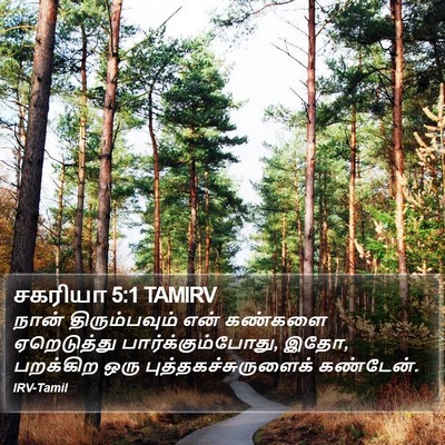 சகரியா 5:1 TAMIRV Bible Verse Image