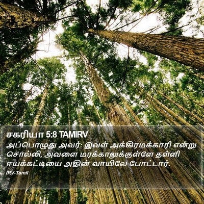 சகரியா 5:8 TAMIRV Bible Verse Image