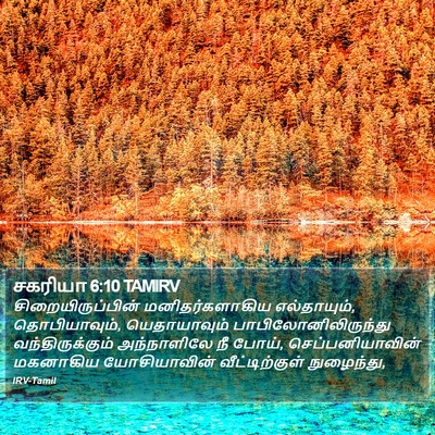 சகரியா 6:10 TAMIRV Bible Verse Image