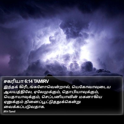 சகரியா 6:14 TAMIRV Bible Verse Image