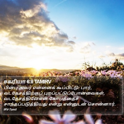 சகரியா 6:8 TAMIRV Bible Verse Image