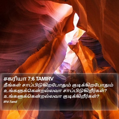 சகரியா 7:6 TAMIRV Bible Verse Image