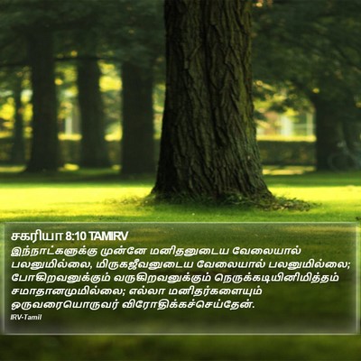 சகரியா 8:10 TAMIRV Bible Verse Image