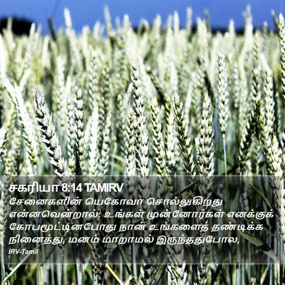 சகரியா 8:14 TAMIRV Bible Verse Image