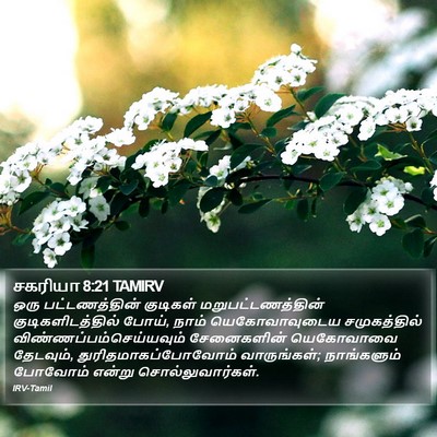 சகரியா 8:21 TAMIRV Bible Verse Image