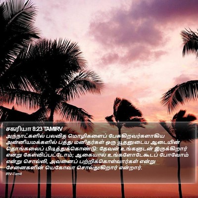 சகரியா 8:23 TAMIRV Bible Verse Image