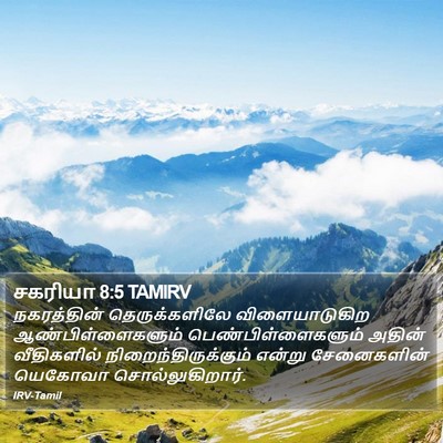 சகரியா 8:5 TAMIRV Bible Verse Image