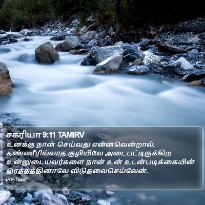 சகரியா 9:11 TAMIRV Bible Verse Image