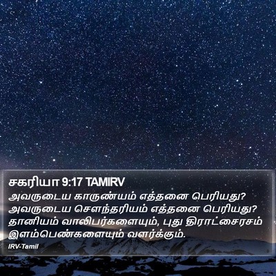 சகரியா 9:17 TAMIRV Bible Verse Image