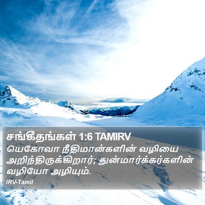 சங்கீதங்கள் 1:6 TAMIRV Bible Verse Image