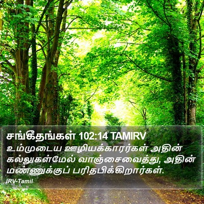 சங்கீதங்கள் 102:14 TAMIRV Bible Verse Image