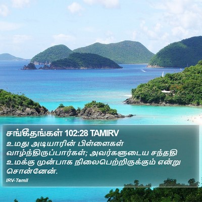சங்கீதங்கள் 102:28 TAMIRV Bible Verse Image
