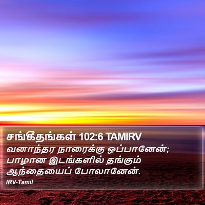சங்கீதங்கள் 102:6 TAMIRV Bible Verse Image