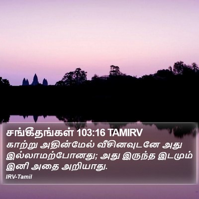 சங்கீதங்கள் 103:16 TAMIRV Bible Verse Image