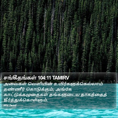 சங்கீதங்கள் 104:11 TAMIRV Bible Verse Image