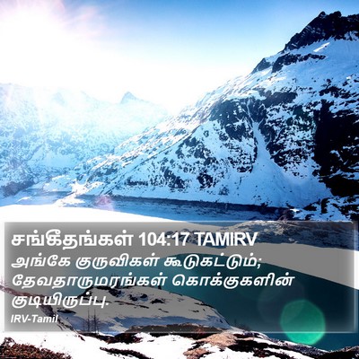 சங்கீதங்கள் 104:17 TAMIRV Bible Verse Image