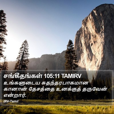 சங்கீதங்கள் 105:11 TAMIRV Bible Verse Image