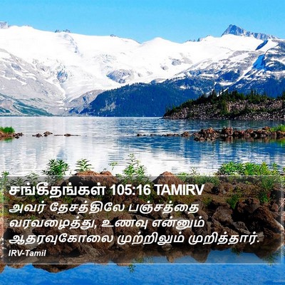 சங்கீதங்கள் 105:16 TAMIRV Bible Verse Image