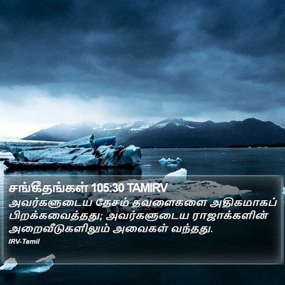 சங்கீதங்கள் 105:30 TAMIRV Bible Verse Image