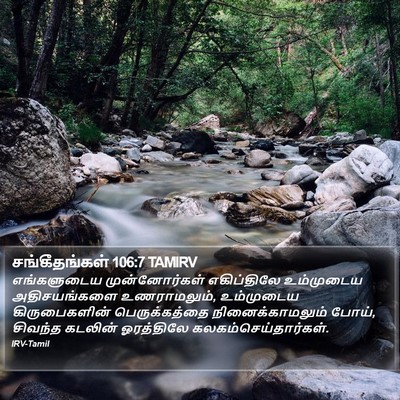 சங்கீதங்கள் 106:7 TAMIRV Bible Verse Image