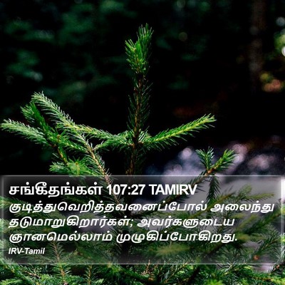 சங்கீதங்கள் 107:27 TAMIRV Bible Verse Image