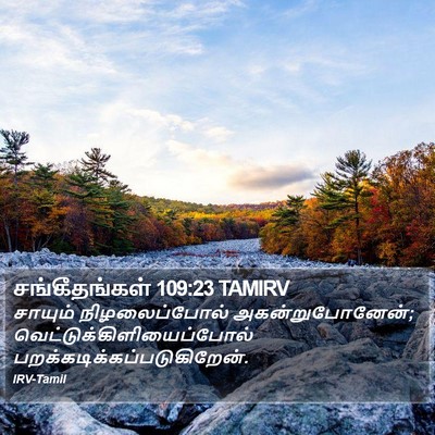 சங்கீதங்கள் 109:23 TAMIRV Bible Verse Image
