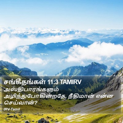 சங்கீதங்கள் 11:3 TAMIRV Bible Verse Image