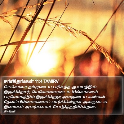 சங்கீதங்கள் 11:4 TAMIRV Bible Verse Image