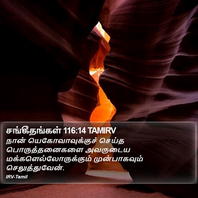 சங்கீதங்கள் 116:14 TAMIRV Bible Verse Image