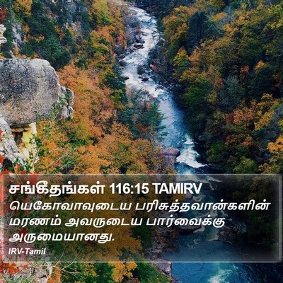 சங்கீதங்கள் 116:15 TAMIRV Bible Verse Image