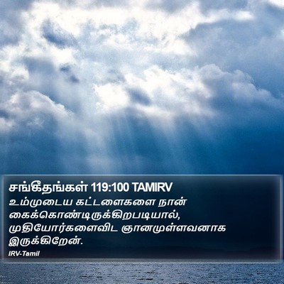 சங்கீதங்கள் 119:100 TAMIRV Bible Verse Image